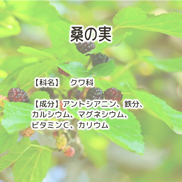 ����̵�� ���μ�( �֥�å��ޥ�٥꡼ )���� ������ ����μ� ���μ��� ���� ������ �ޥ�٥꡼�ƥ��� �ե롼�ĥƥ��� ���٤��뤪�� �����ѡ��ա��� ����� ̵���� ̵ź�� ������ ����� �ɥ饤�ե롼�� �����Ի��� ���������Ի��ѡ�Plus Herb �ϡ��֥ƥ�����