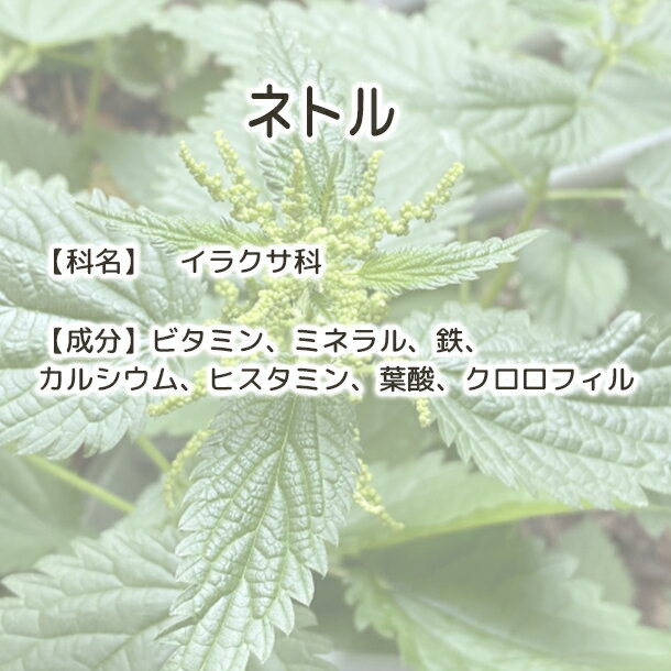 ����̵�� �ͥȥ� ͭ���������� �� Plus Herb �ϡ��֥ƥ��� �ۥͥȥ�ƥ��� �ͥȥ��� �ɥ饤�ϡ��� �ͥȥ�ϡ��֥ƥ��� �ϡ��֥ƥ� ���� �Υ󥫥ե����� �ӥ��ߥ� �ߥͥ�� Ŵʬ �� ������ ��� ���� ���� Ŵʬ��� Ŵ Ŵʬ �ջ� �ӥ��ߥ�c �ݥ�ե��Ρ��� ��