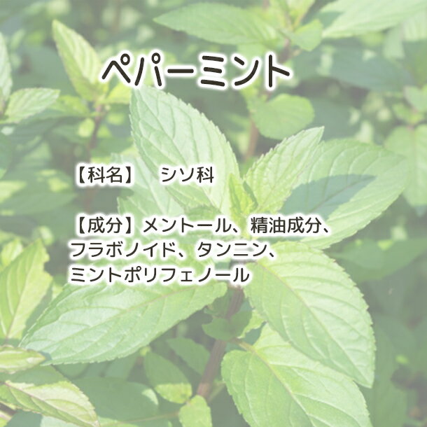 ����̵�� �ڥѡ��ߥ�ȡ�Plus Herb �ϡ��֥ƥ��� �� �ϡ��֥ƥ� �ϡ��� �ߥ�Ȥ��� �ߥ�ȥϡ��֥ƥ��� �ڥѡ��ߥ�ȥƥ��� �ե� �ƥ��� �֥��ɥƥ��� �ɥ饤�ϡ��� ���äѤ� �������ƥ��� �����襦�ϥå� ���ä��� ���ȡ��� ���� ����䤫 ī �⡼�˥󥰥ƥ���