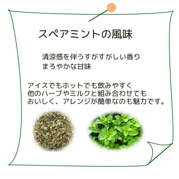スペアミント 有機原料使用ミントティー スペア...の紹介画像2