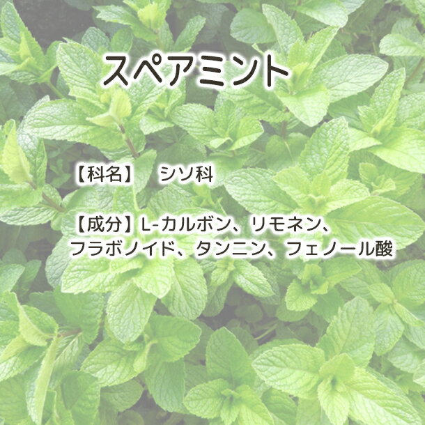 ���ڥ��ߥ�� ͭ���������ѥߥ�ȥƥ��� ���ڥ��ߥ�ȥƥ��� �ϡ��֥ƥ� �ߥ�ȥƥ� �ϡ��֥ƥ��� �ϡ����� ���äѤ� ��ե�å��� ���� ���� �ߥ�Ȥ��� �ߥ������ �� ��ʬž�� ī �⡼�˥󥰥ƥ��� �ƥ��������� ���ä��� ������������ ��̣�������� ����̵��