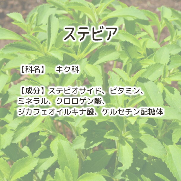 ステビア 送料無料【Plus Herb ハーブ...の紹介画像3