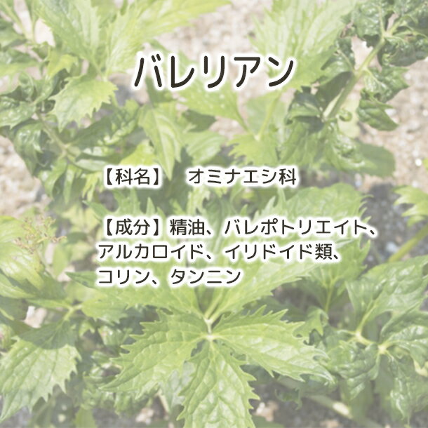 バレリアンルート セイヨウカノコソウ 有機原料...の紹介画像3