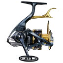 シマノ(SHIMANO) スピニングリール 21 BB-X テクニウム C4000D TYPE-G SR 磯