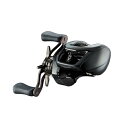 ダイワ(DAIWA) バスベイトリール 24STEEZ(スティーズ) SV TW 100 (2024年モデル)