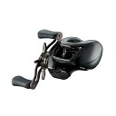 ダイワ(DAIWA) バスベイトリール 24STEEZ(スティーズ) SV TW 100H (2024年モデル)