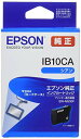 エプソン 純正 インクカートリッジ カードケース IB10CA シアン(2)