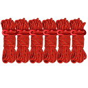 Takelablaze ガイロープ パラコード ロープ テントロープ ガイライン タープロープ 反射 4mm *4m キャンプ アウトドア アルミニウム 自在金具付き 6本セット (レッド)
