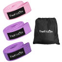 TheFitLife トレーニングチューブ 筋トレチューブ ゴムチューブ レジスタンスバンド ストレッチバンド フィットネスバンド (ピンク/ラベンダー/パープ...