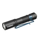 ACEBEAM Pokelit AA 懐中電灯 小型 軽量 強力 550ルーメン 高演色性 Ra90 3段階調光 500回以上充電可能です 1x単三に対応 IP...