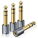 3.5mm ⇒ 6.35mm 変換 プラグ RIKSOIN (4個セット) ステレオミニプラグ (メス) ⇒ ステレオ標準プラグ (オス) イヤホンジャック 変...