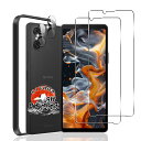 用 Xperia 10 VI ガラスフィルム 2枚 + カメラフィルム 2枚 【国産AGC旭硝子素材 ガイド枠付き】 用 エクスペリア10 VI フィルム 硬度...