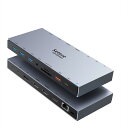 Selore USB C ドッキングステーション type c HDMI 2つ Dock【15 in 1】 DP DP1.4 4K 2画面 3画面モード デュアル トリプルディスプレイ 100W 急速充電 有線LAN RJ45/3.5mm オーディオジャック/USB-A 3.1/3.0/2.0/USB-C/PD+SD&TFカードスロット搭載 iOS/Windowsデバイス