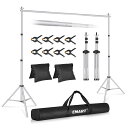 EMART 背景スタンド 撮影スタンド シルバー 200x300cm 幅、高さ調節可能 背景布/グリーンバックスタンド 生放送、web会議、ビデオ通信、動画などに適用 グリーンバック、背景紙、クロマキー合成、テレワーク、オンライン授業、オンライン飲み会などに大活躍(サンドバッ