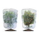 LIANHATA 防虫ネット 2個セット 植物保護カバー メッシュ巾着式 防鳥ネット 虫よけカバー 野菜網 鳥対策 通気性 虫鳥除け網 鉢植え用 野菜栽培 菜園プランター用 (80*100cm)