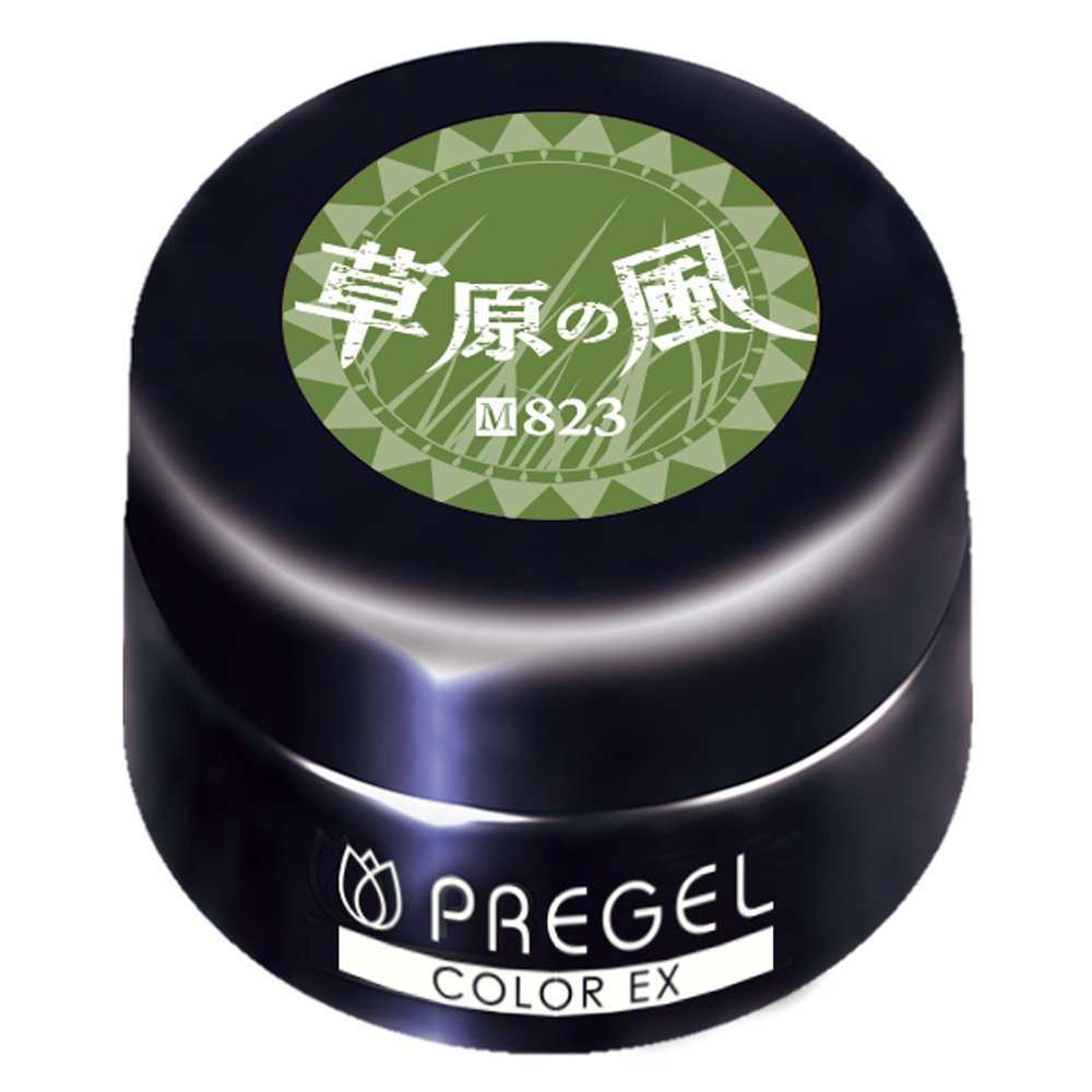 【送料無料】プリジェル ジェルネイル カラーEX ミルキーキャロット300 色：823、サイズ：3グラム (x 1)