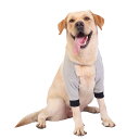 【送料無料】Ouriken 犬 サポーター ペット用 ひざ当て 犬 前足 肘 けが 犬用 関節プロテクター 老犬介護用品 ペット用品犬 前足サポーター 調節可能 舐め防止 小型犬 中型 大型犬 グレー-M