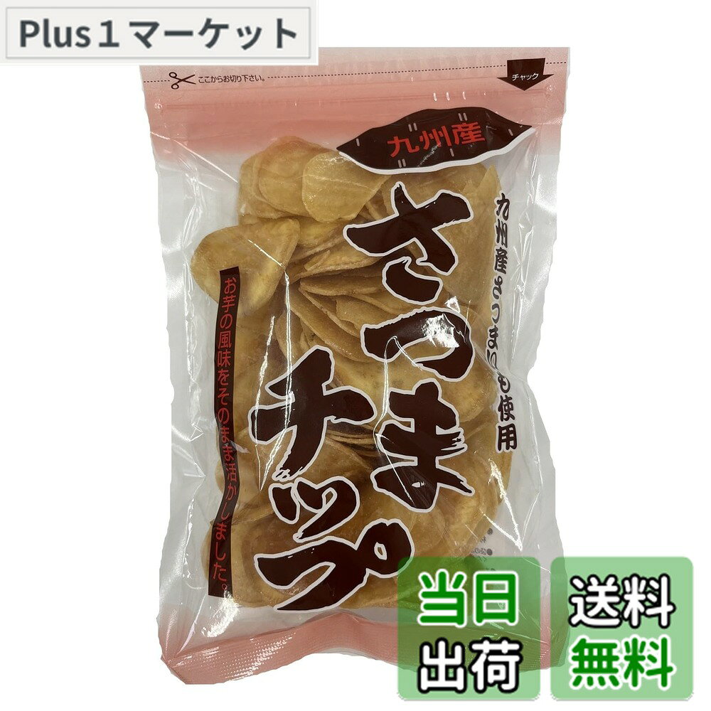 【9月1日ー9月15日まで200円オフ】【送料無料】横山食品 さつまチップ 170g