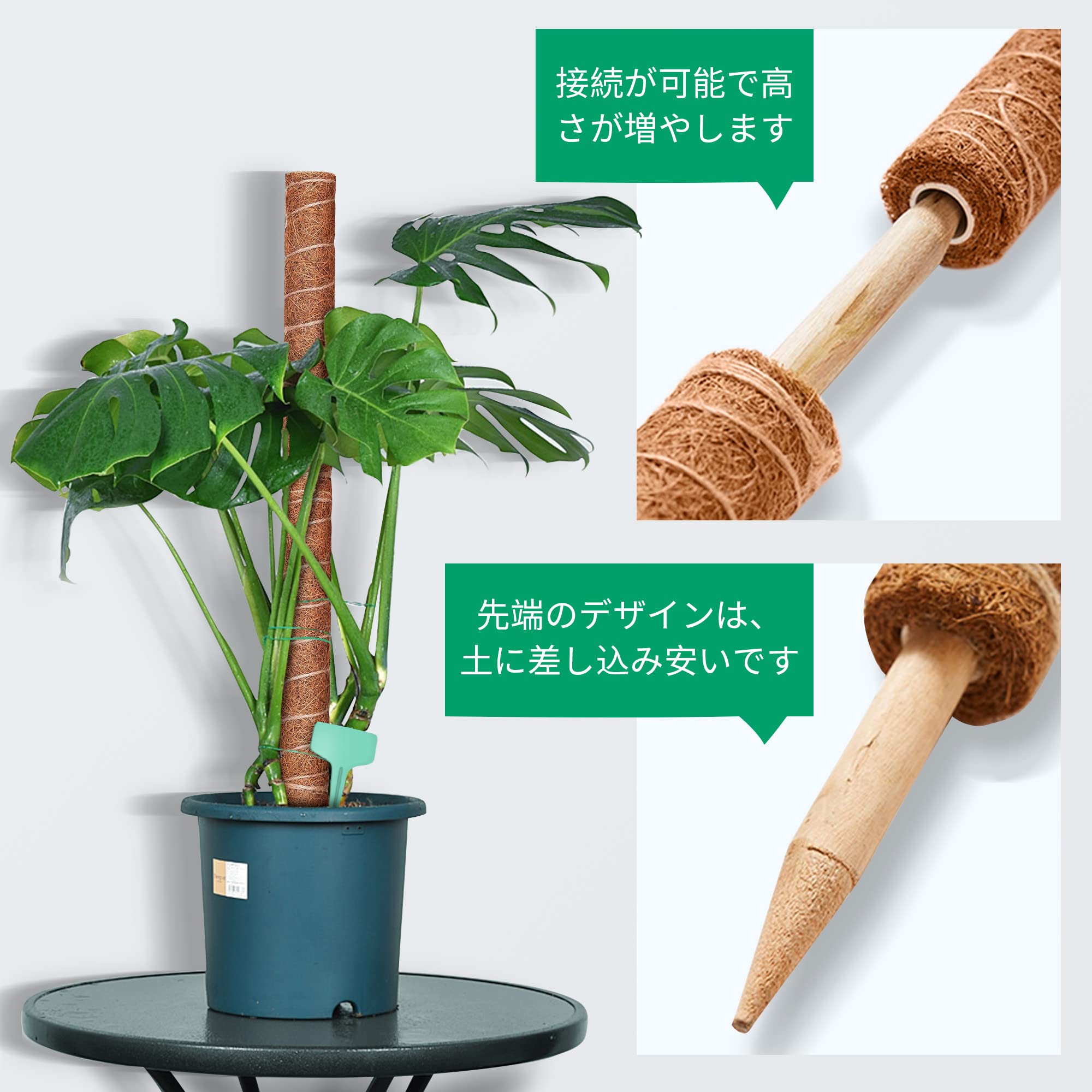 【送料無料】YOUSHY園芸支柱 観葉植物モンステラ 支柱 つる性植物 観葉植物 ココナ...