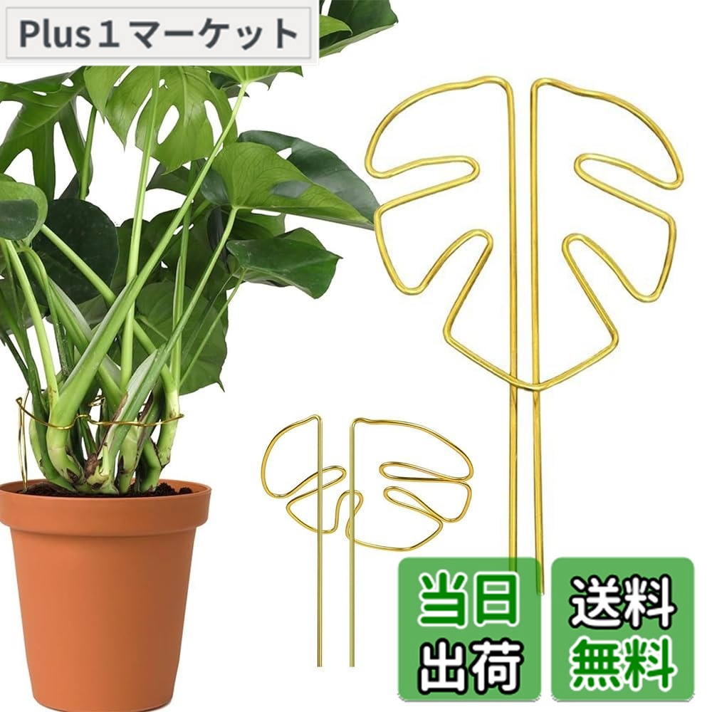 商品情報商品の説明商品の説明 テントは高品質合金材料を用いて製造され、表面銅色処理、防腐防錆、抗酸化能力が強く、摩耗しにくく 安全警告 慎重に取り扱ってください。尖った先端で傷つきます。地下の設備を損傷する可能性があります。適切に固定してください。主な仕様 【自然通風】独特な葉形構造は支持と通風機能を巧みに融合させ、植物の枝幹を強固に固定するだけでなく、良好な空気の流通を維持し、どの葉も十分に日光を浴び、植物の健全な成長を助け、光合成を加速させることができることを確保する。【良質合金】ステントは高品質合金材料を用いて製造され、表面銅色処理、防腐防錆、抗酸化能力が強く、摩耗しにくく、長期使用しても光沢と強度を保持でき、実用性と観賞性を兼ね備えている。【構造が安定している】構造設計を強化し、植物の転倒を効果的に防止し、特に藤本類、枝葉が繁茂しているか、大きくて倒れやすい植物の使用に適し、植物の安定した上向き成長を助け、清潔で秩序ある緑植空間を作る。【柔軟な調整】工具を必要とせず、植物の形態に応じて角度とリング構造を自由に調整でき、異なる成長段階とサイズを配合することができ、設置過程は簡単で省力的で、園芸初心者も簡単に手に入れることができる。【多場面応用】多種の観賞植物、花卉及び緑植物、例えば亀背竹、バラ、藤登り類などに適用する。家庭園芸でも農場栽培でも、植物の成長軌跡を効果的に管理し、養生効率と美感を高めることができる。