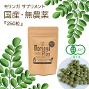 国産モリンガ サプリメント 250粒 オーガニック 25g 無添加無農薬 有機JAS認定 ノンカフェイン 沖縄県産 スーパーフード モリンガ粒 タブレット 小粒 サプリ 種