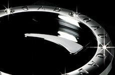 ギャルソン　DADラグジュアリー　ドリンクホルダータイプ　シャイン