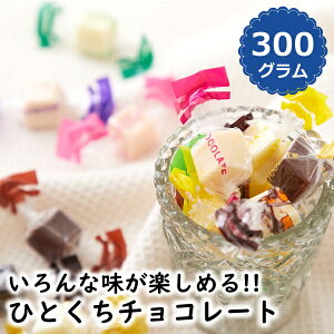 ひとくち チョコレート 300g ジャージー牛乳 14種類 ミックスチョコ 個包装 おやつ スイーツ バレンタイン お礼 義理チョコ 送料無料 プチギフト ハロウィン