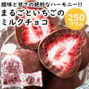 まるごといちごの ミルクチョコ 250g 約25個 濃厚 チョコレート イチゴ ストロベリー フリーズドライ 個包装 送料無料 プチギフト ハロウィン バレンタインデー ホワイトデー お徳用 大容量 送料無料