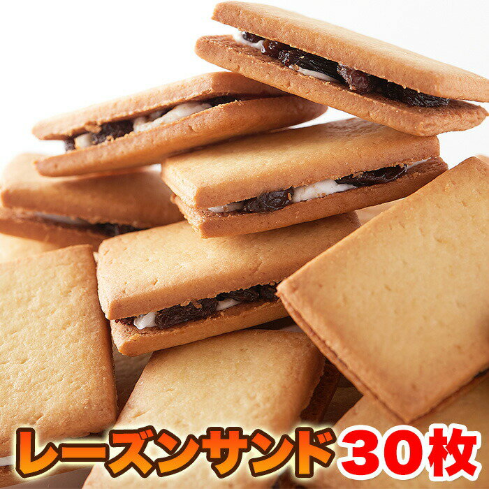 【レビュー特典付き】レーズンサンド 30個 個包装 焼菓子 