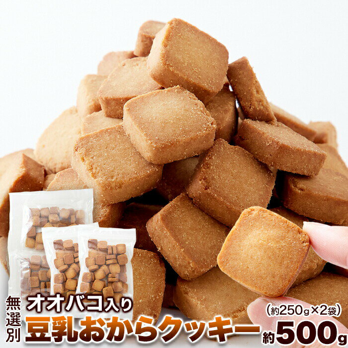 【賞味期限間近（2024/7/8）特価販売】オオバコ入り豆乳おからクッキー 500g すごい満腹感 食物繊維たっぷり おやつ こんにゃく オオバコ種皮末 硬め食感 グルテンフリー 焼菓子 間食対策 スイーツ【レビュー特典付き】