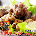 鶏炭火焼 100g×3袋 宮崎 名物 炭火 焼鳥 味付き 国産鶏 酒 おつまみ 惣菜 おかず 簡単 便利 美味しい お取り寄せ グルメ 送料無料