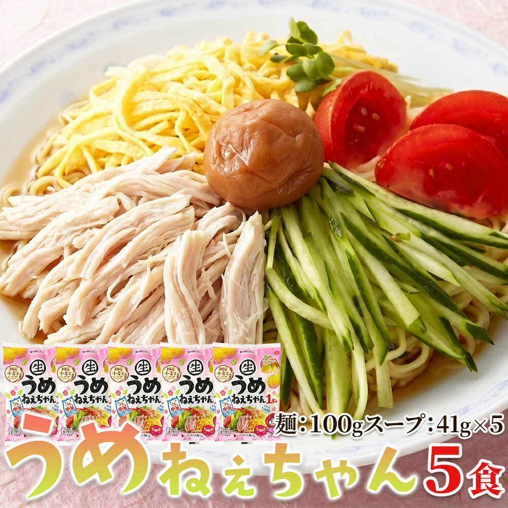 樂天商城 - うめねぇちゃん 5食セット スープ付 冷やし中華 梅スープ 和風 梅だれ 夏 生麺 細中華麺 梅風味 麵類 送料無料
