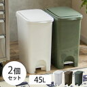 ゴミ箱 45L （2個セット） SABIRO ペダルペールプッシュ式 ペダル式 ふた付き 分別 おしゃれ 可愛い 45リットル ホワイト ブラウン グリーン キッチン リビング ごみ箱 ダストボックス