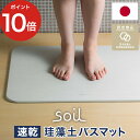 ソイル 珪藻土 バスマット 日本製 安心 安全 アスベスト未使用 soilバスマット ライト ノンアスベスト 人気 おすすめ 珪藻土バスマット イスルギ おしゃれ 軽量 衛生的 薄い 丈夫 速乾 引っ越し祝い 正規品 soil【ポイント10倍 送料無料】