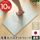 バスマット ウェーブ 珪藻土 日本製 デザイン soil【ポ