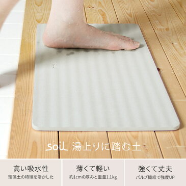 珪藻土バスマット soil ソイル バスマット ウェーブ 珪藻土 50×28cm 日本製 【正規品】 浴室マット 速乾 お風呂 マット おしゃれ バス用品