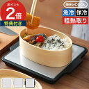 【特典付き 送料無料】 あら熱とり プレート 冷却プレート 粗熱 冷却 保冷 保冷剤一体型 お弁当 離乳食 介護食 お弁当作り 粗熱取り 時短 食中毒防止 ご飯...