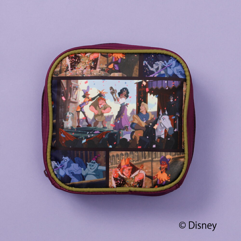 Disney 『 ノートルダムの鐘 』 デザイン ティッシュポーチ ポーチ ディズニー 大人 推し活 エスメラルダ カジモド