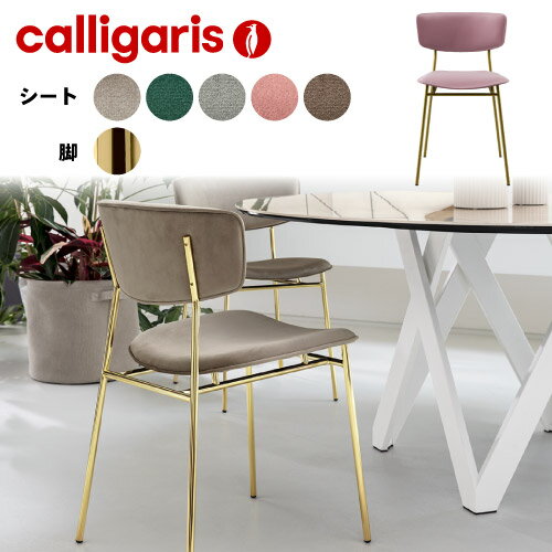 Ź ¿μӡcalligaris ꥬꥹ FIFTIES եեƥ CS1854 2ӥåȥꥬꥹ  ꥬꥹ ˥󥰥 calligaris ꥬꥹ ꥬꥹ ƥꥢ