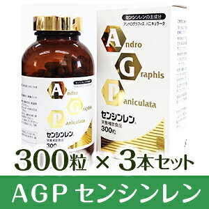 プラスデザインのAGP センシンレン 300粒 3本セット AGPセンシンレン アンドログラフィスパニキュラータ サプリメント アンドログラフォリド｜アングル2