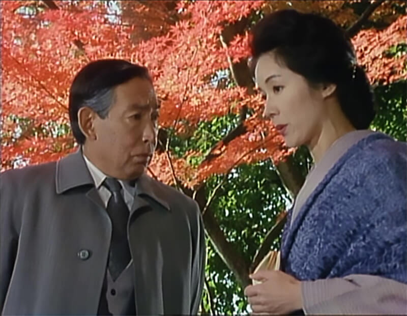 ���Ի��Ͱ��� ���쥯������DVD Vol.4 HD��ޥ������� ���¤�̾��饤�֥�꡼ ��95�� �٥��ȥե������