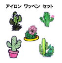 【7月限定!抽選で2人に1人最大100%ポイントバック!※要エントリー】 送料無料 サボテン ワッペン 5枚セット さぼてん アップリケ アイロンワッペン ワッペン アイロン キッズ 子供 向け ロゴ かわいい おしゃれ ズボン 膝 男の子 女の子 キ