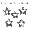 【7月限定!抽選で2人に1人最大100%ポイントバック!※要エントリー】 送料無料 星 スター スパンコール アップリケ アイロンワッペン ワッペン アイロン キッズ 子供 向け ロゴ かわいい おしゃれ ズボン 膝 誕生日 記念日 select ギフト プレゼント