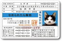 送料無料 なめ猫 なめんなよ 免許証 ヒゲオ キャラクターステッカー 懐かし 80年代 なめ猫グッズ 昭和 レトロ 猫 公式 ステッカー かっこいい おしゃれ 車 バイク エンブレム かわいい 誕生日 記念日 select ギフト プレゼント