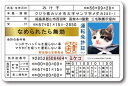 【ポイント10倍! 5/9 20:00〜5/16 1:59 要エントリー】送料無料 なめ猫 なめんなよ 免許証 みけ子 キャラクターステッカー 懐かし 80年代...