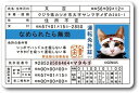 【ポイント10倍! 5/9 20:00〜5/16 1:59 要エントリー】送料無料 なめ猫 なめんなよ 免許証 又吉 キャラクターステッカー 懐かし 80年代 ...