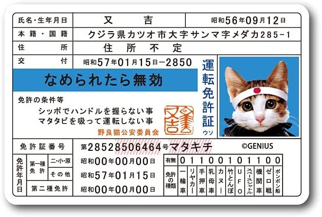 ぷらす堂の送料無料 なめ猫 なめんなよ 免許証 キャラクターステッカー 懐かし 80年代 なめ猫グッズ 昭和 レトロ 猫 公式 ステッカー かっこいい おしゃれ 車 バイク エンブレム かわいい 誕生日 記念日 select ギフト プレゼント 5｜アングル2