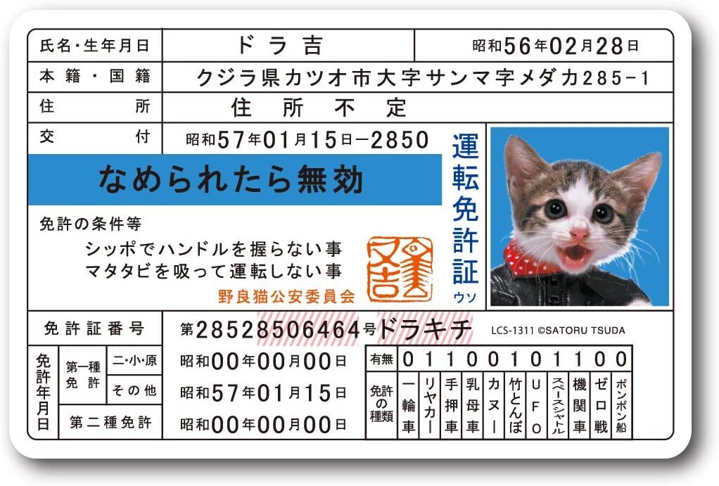 ぷらす堂の送料無料 なめ猫 なめんなよ 免許証 キャラクターステッカー 懐かし 80年代 なめ猫グッズ 昭和 レトロ 猫 公式 ステッカー かっこいい おしゃれ 車 バイク エンブレム かわいい 誕生日 記念日 select ギフト プレゼント 5｜アングル3