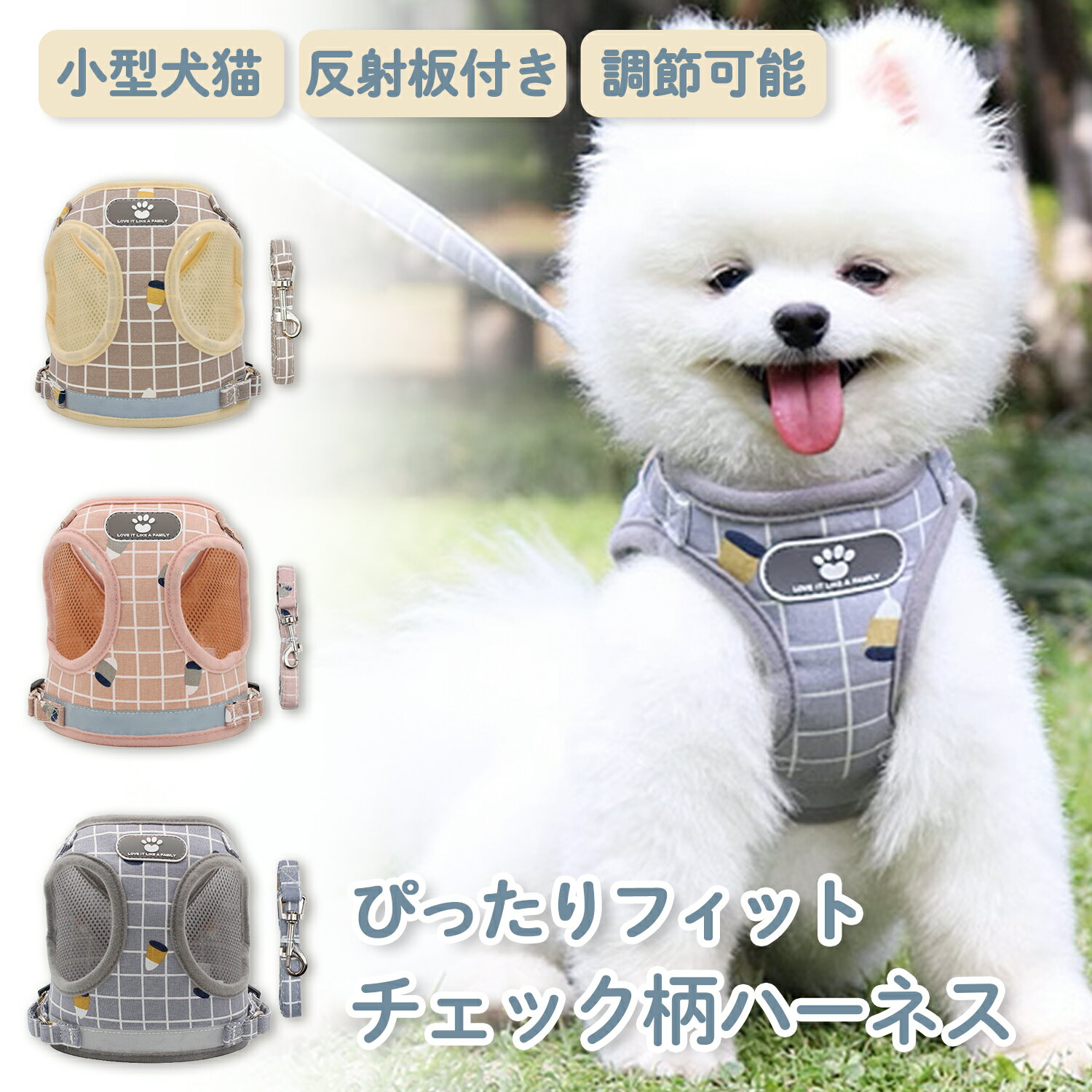 【LINE追加で5％OFF+P5倍】小型犬 リー