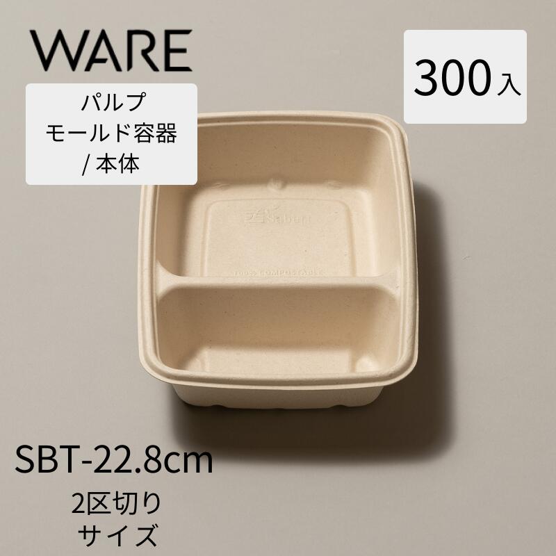 乐天商城 - パルプモールド テイクアウト 容器 使い捨て容器 弁当容器　SBT-22.8x16.5cm2区切りパルプトレイ(300入)